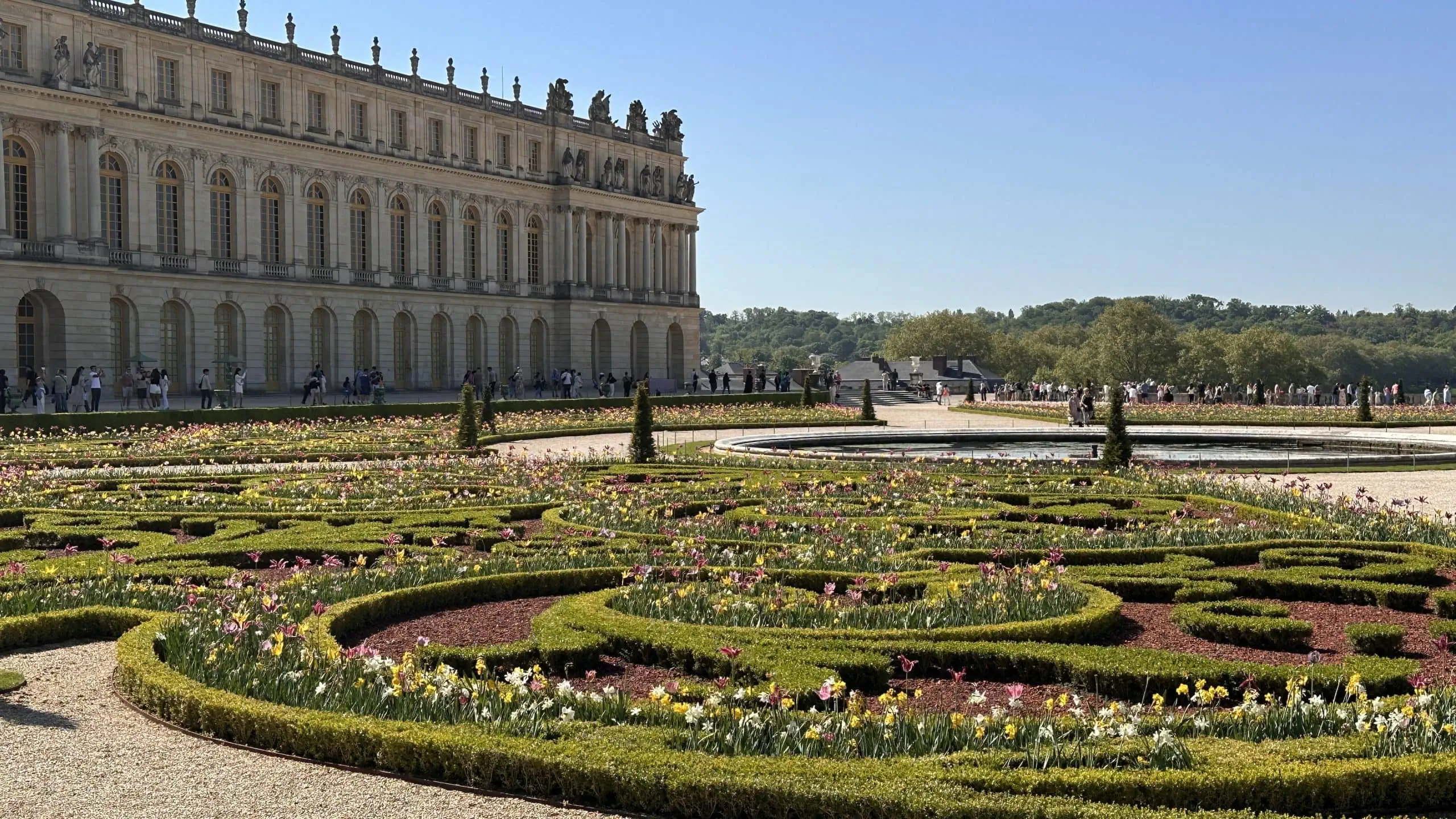 Tulips in front of the Palace
