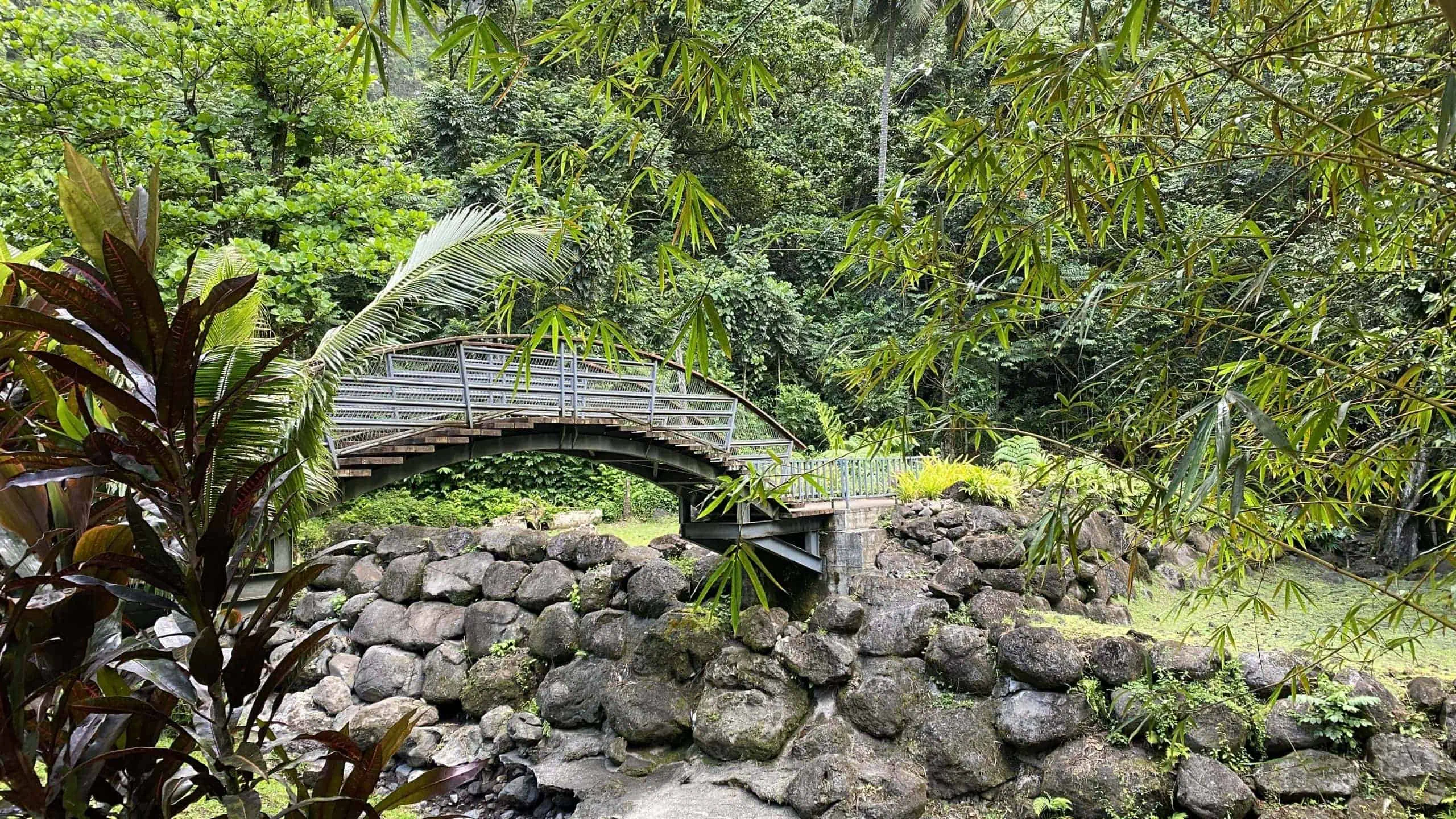 Bridge through the rainforest