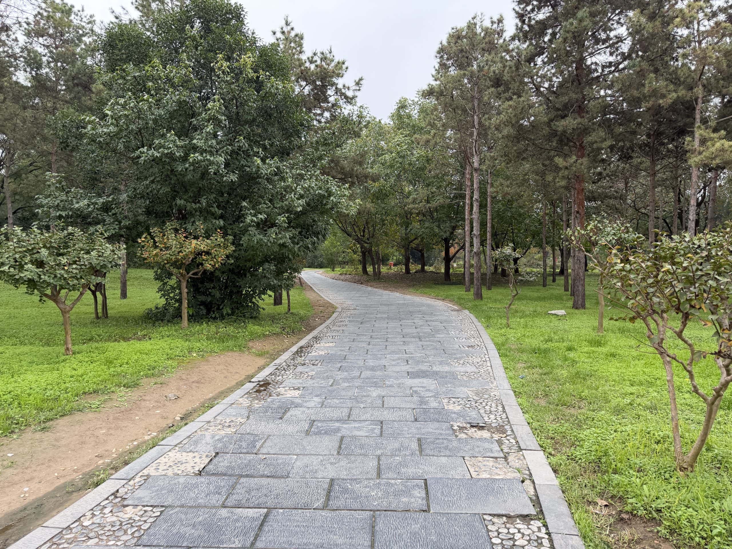 The pathway through the park to get to the pits