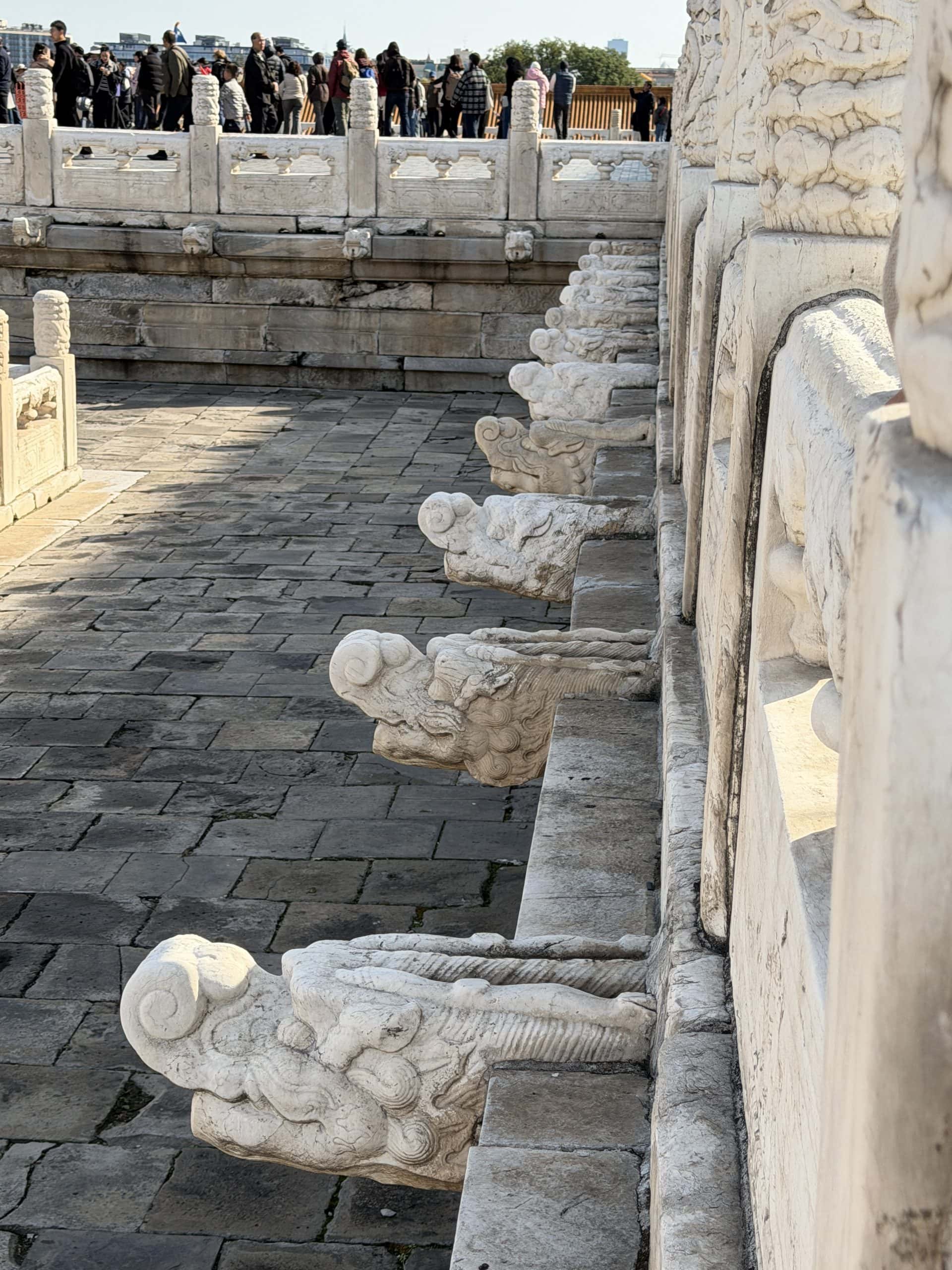 Dragon drainage heads