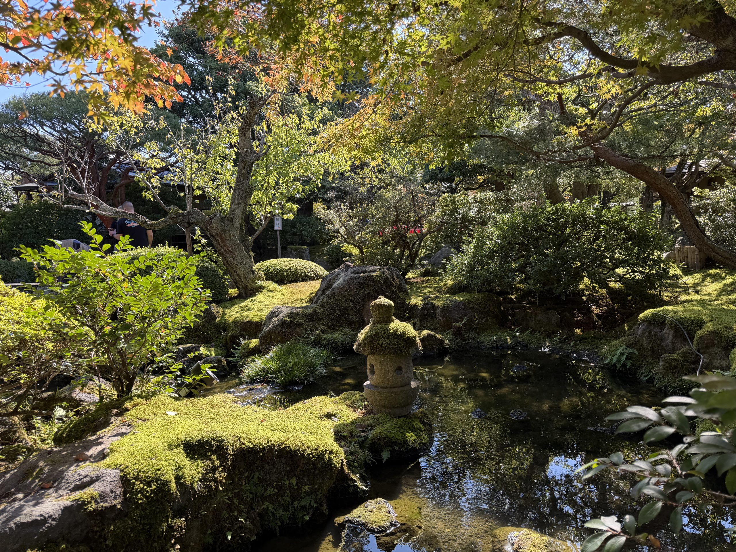 Japanese garden