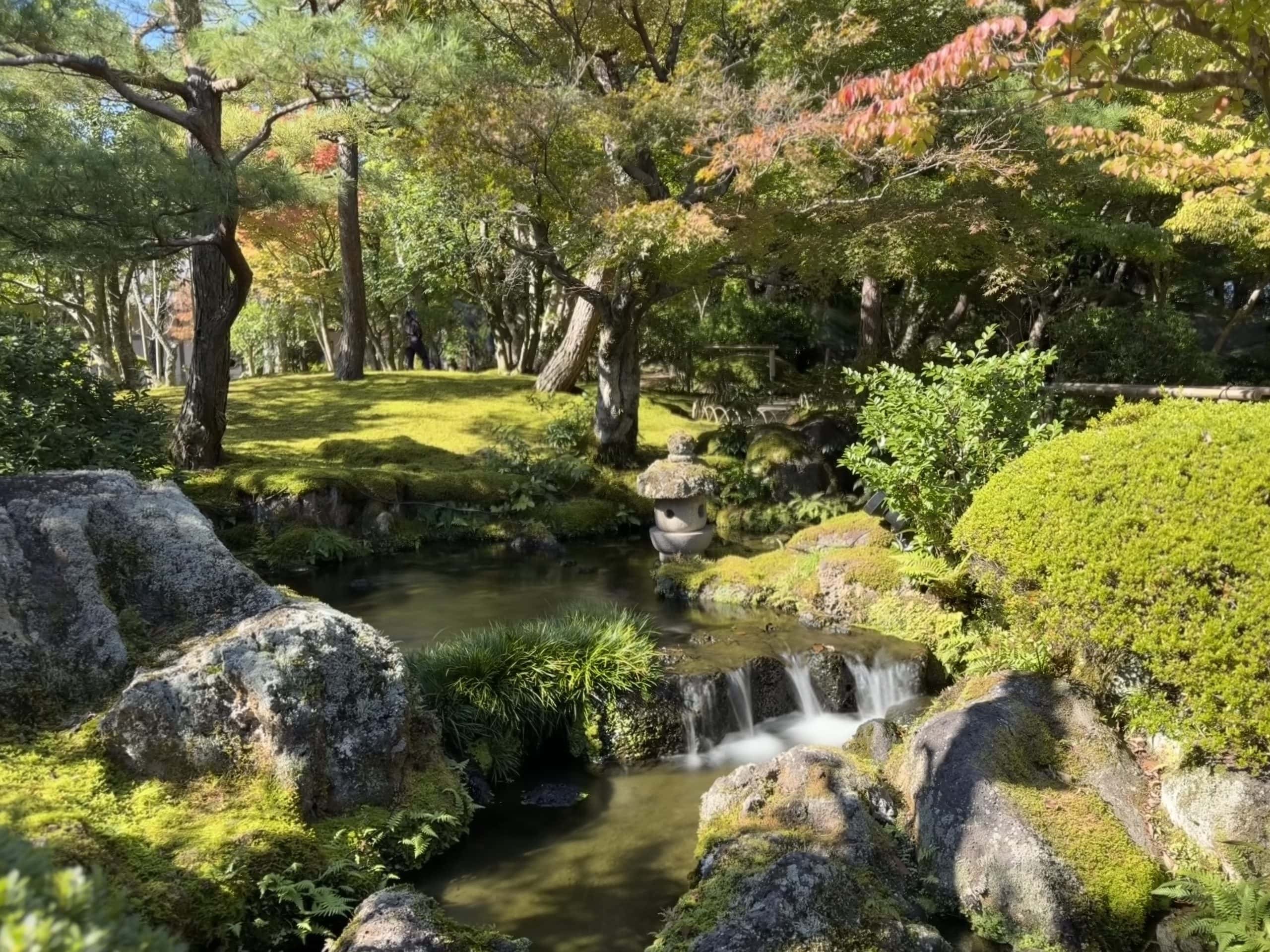 Water feature in the gardens