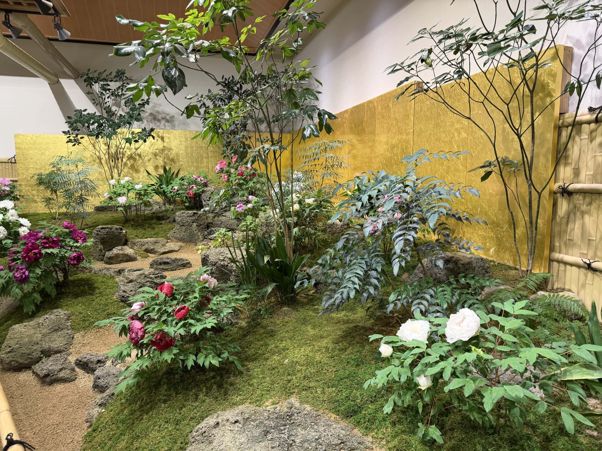 Beautiful indoor Japanese garden featuring lush greenery and decorative rocks.
