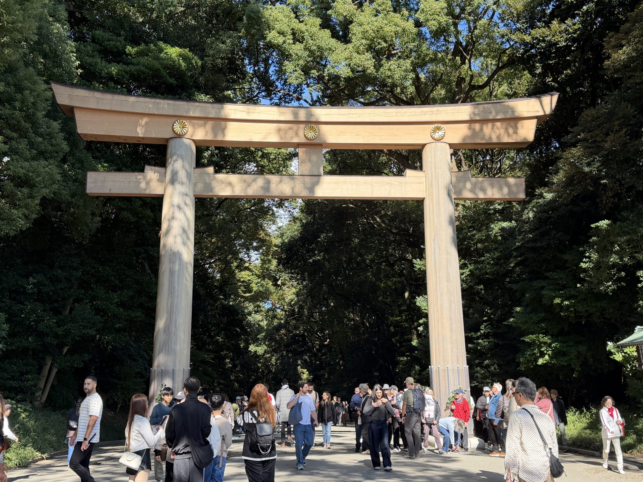 Gate to the Meiji Jingu Shrine
