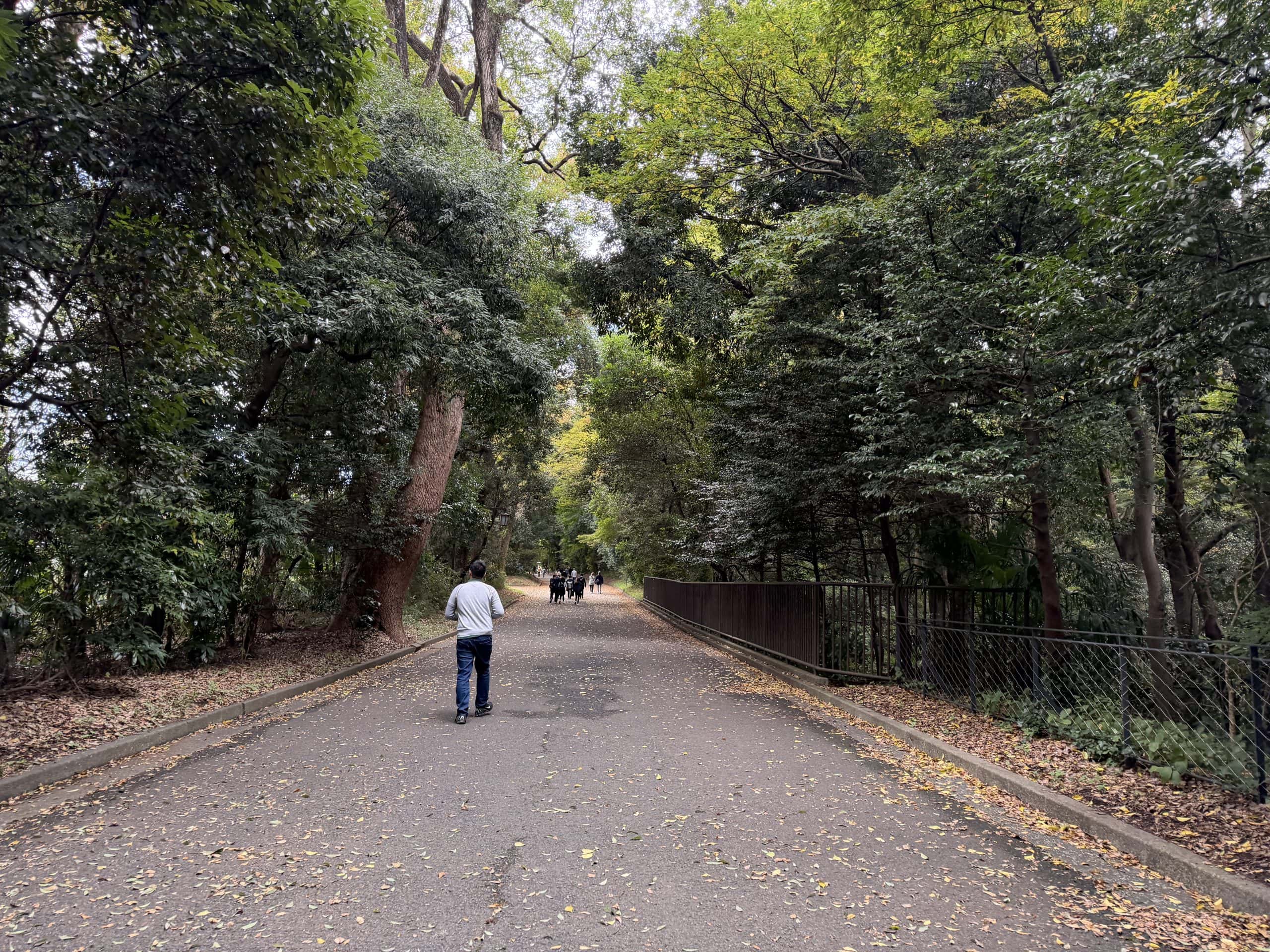 Paths through the forest