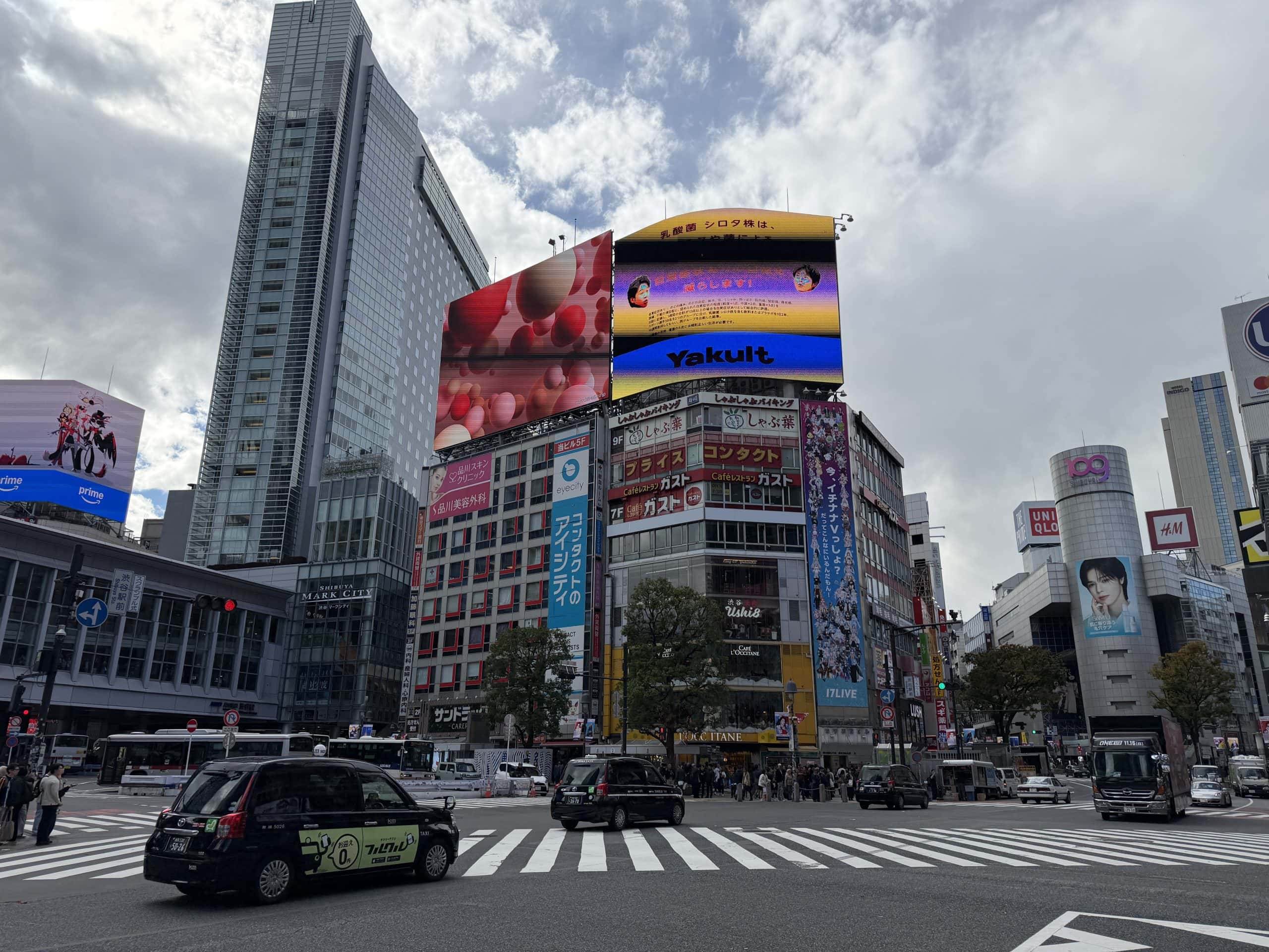 Brightly coloured buildings