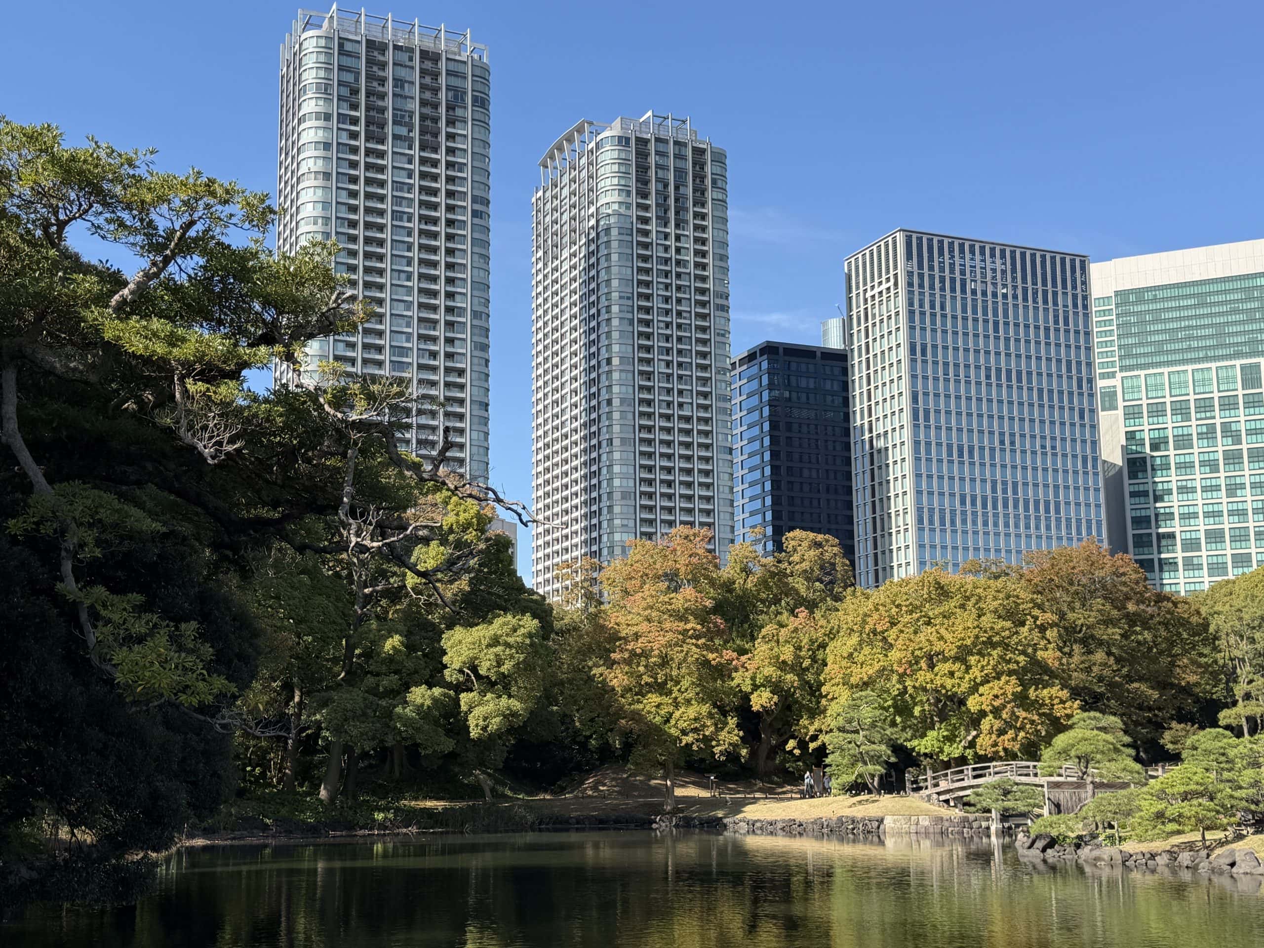 Pond, bridge and greenery amongst the tall buildings