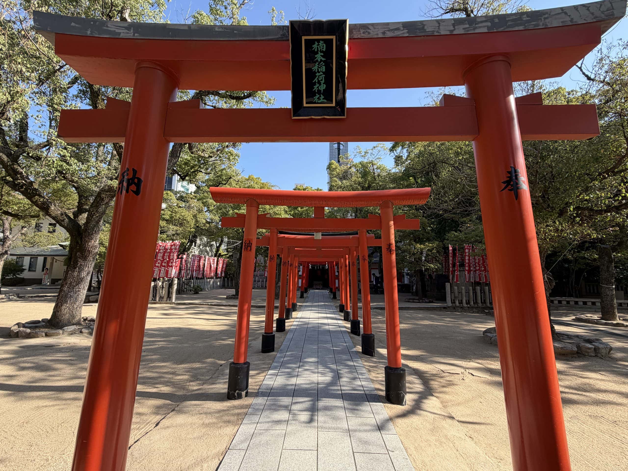 Torii gates