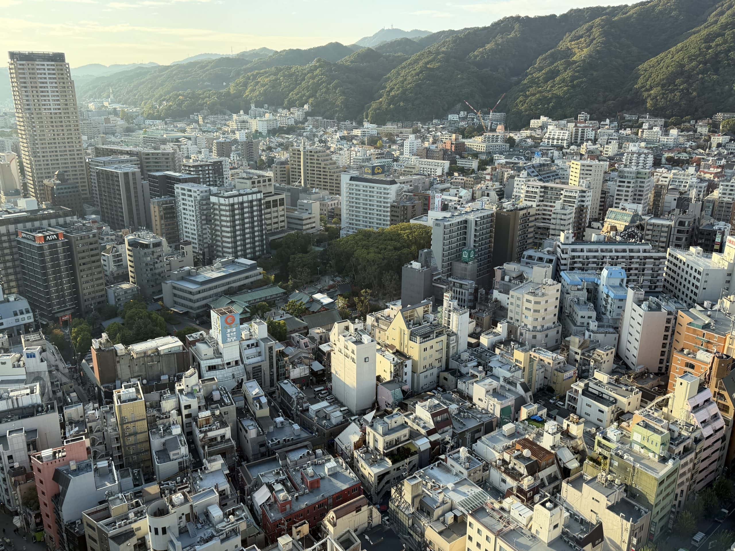 View of the city and mountains