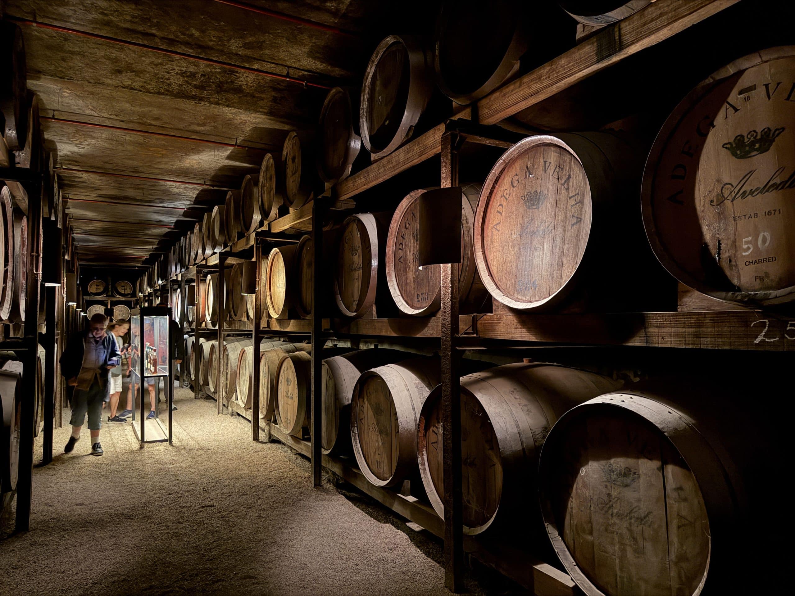 Port cellars