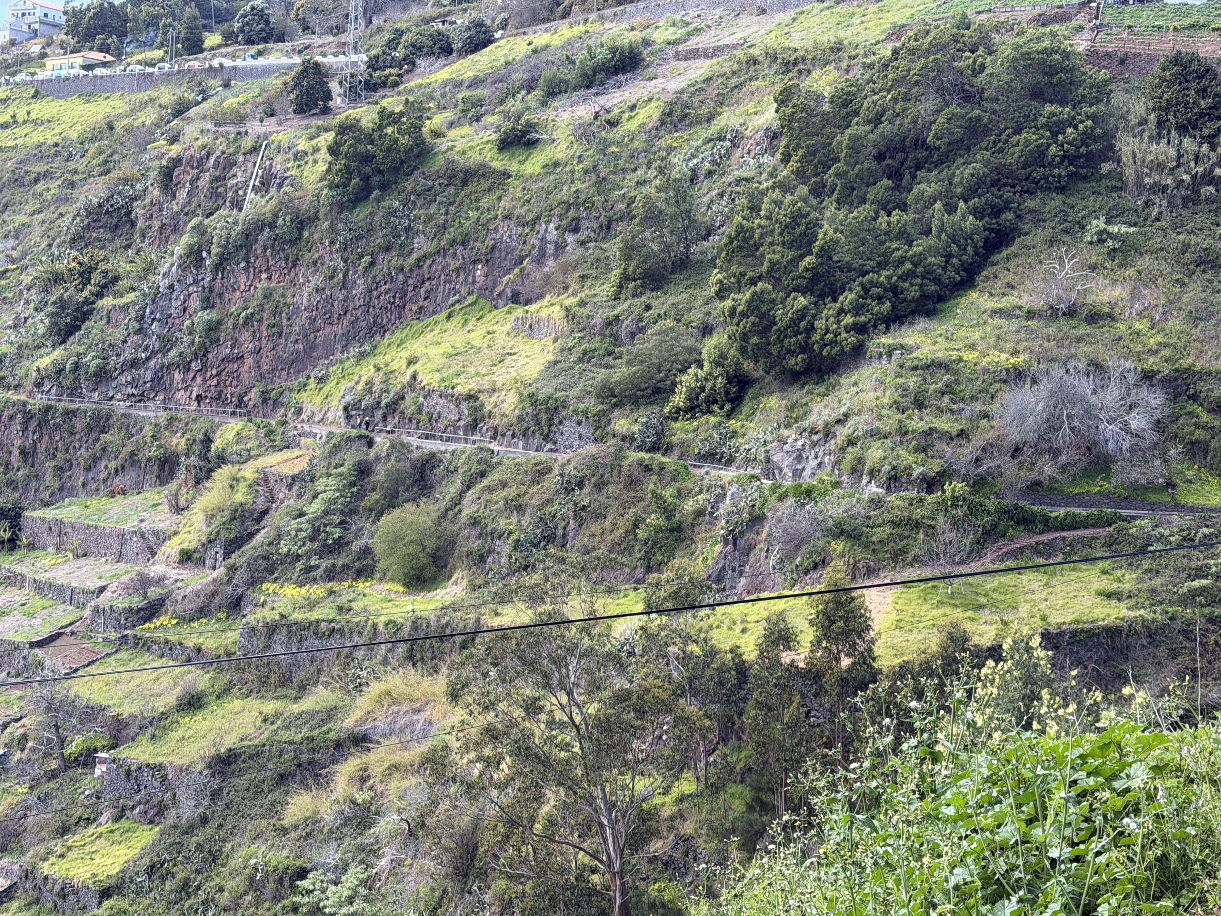Levada trails