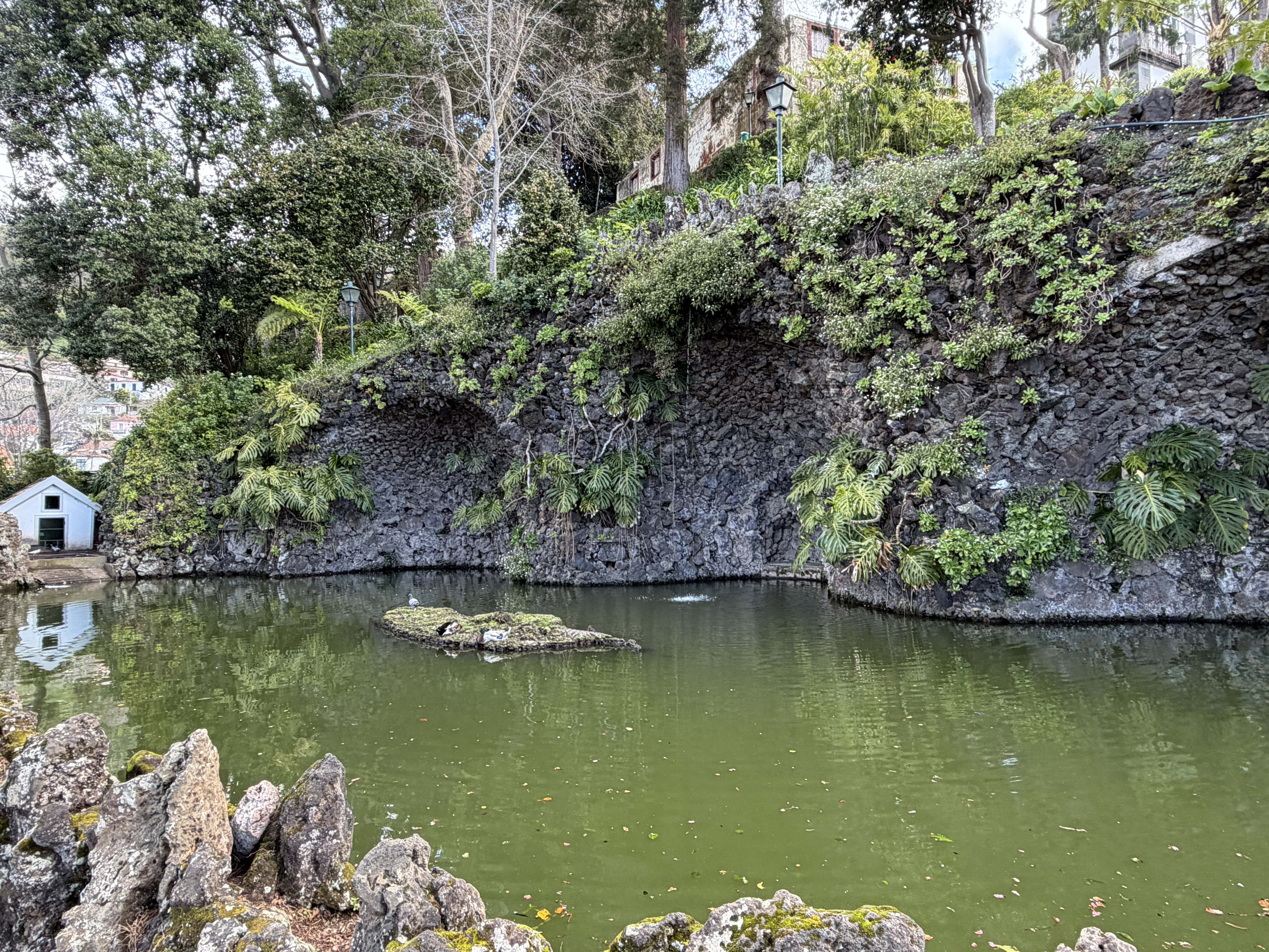 Water feature