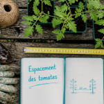 distance entre pieds de tomates mesurée sur table de jardin