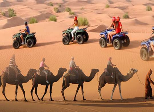 morning quad bike tour sandboard and camel safari