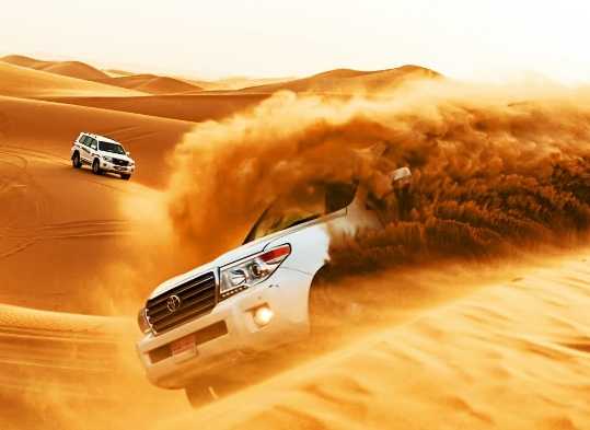 morning desert safari