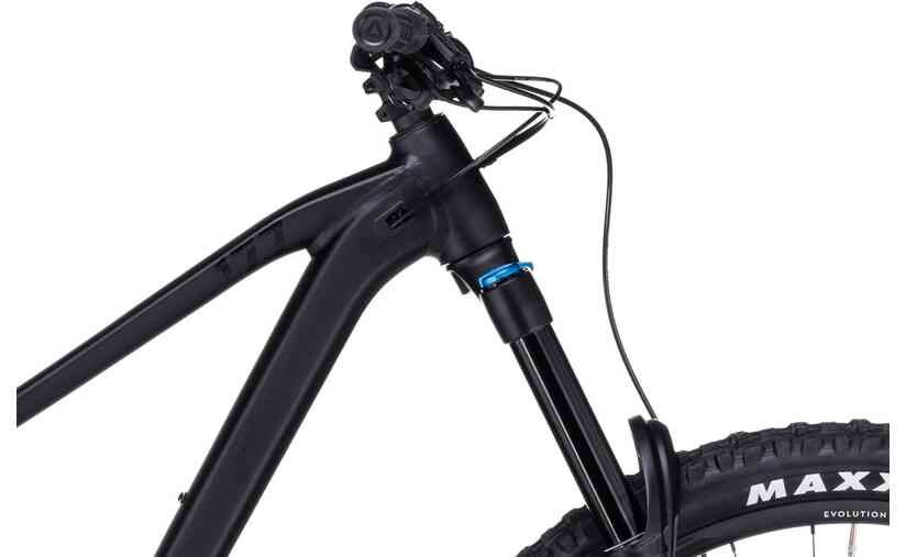 Cube Stereo ONE77 Pro 29