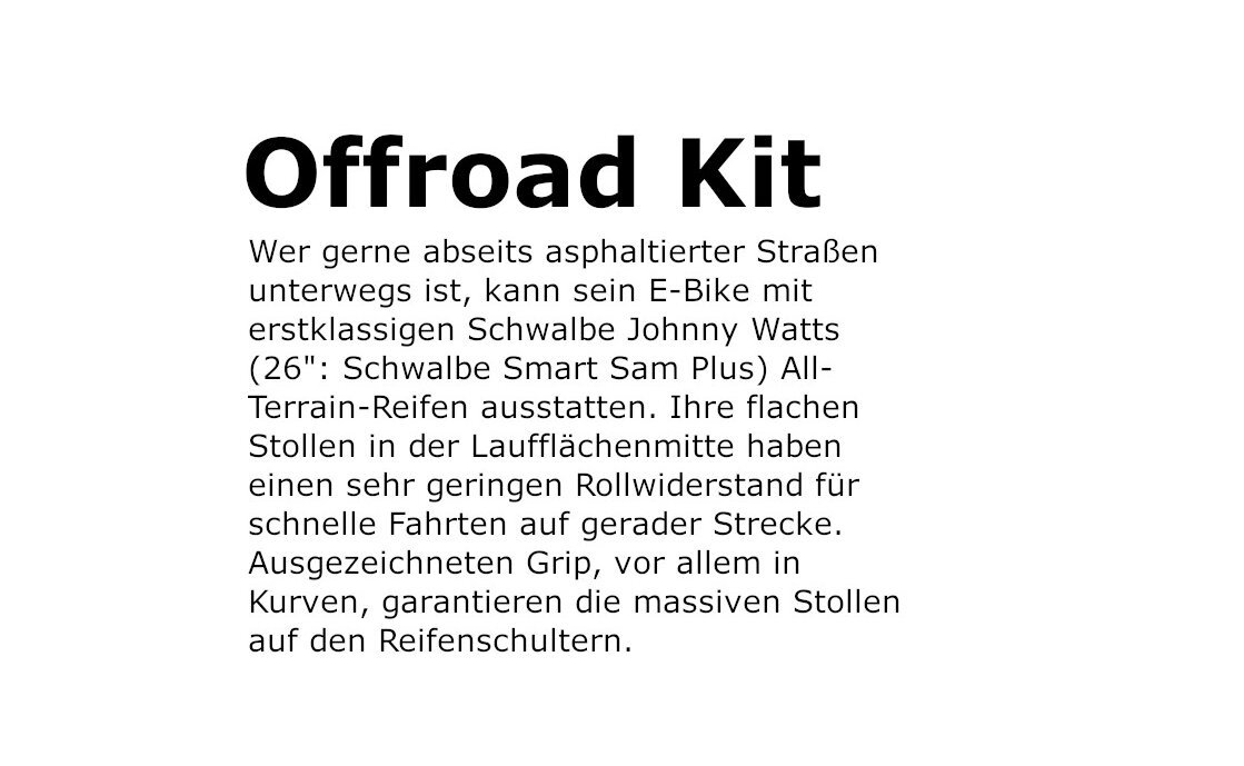 Riese und Müller Nevo5 vario