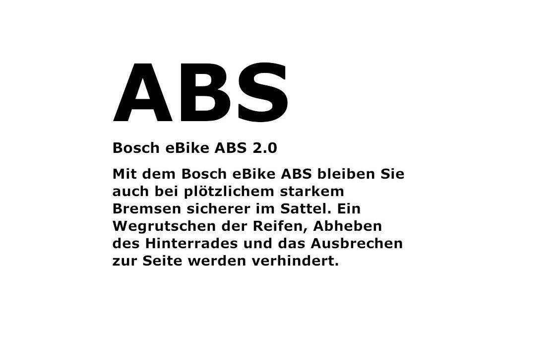 Riese und Müller Nevo5 vario