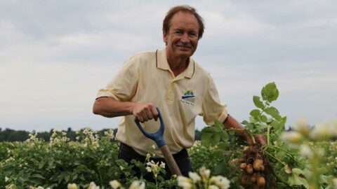 Plover River Farms Nick in potato field