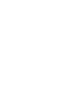 Salads icon