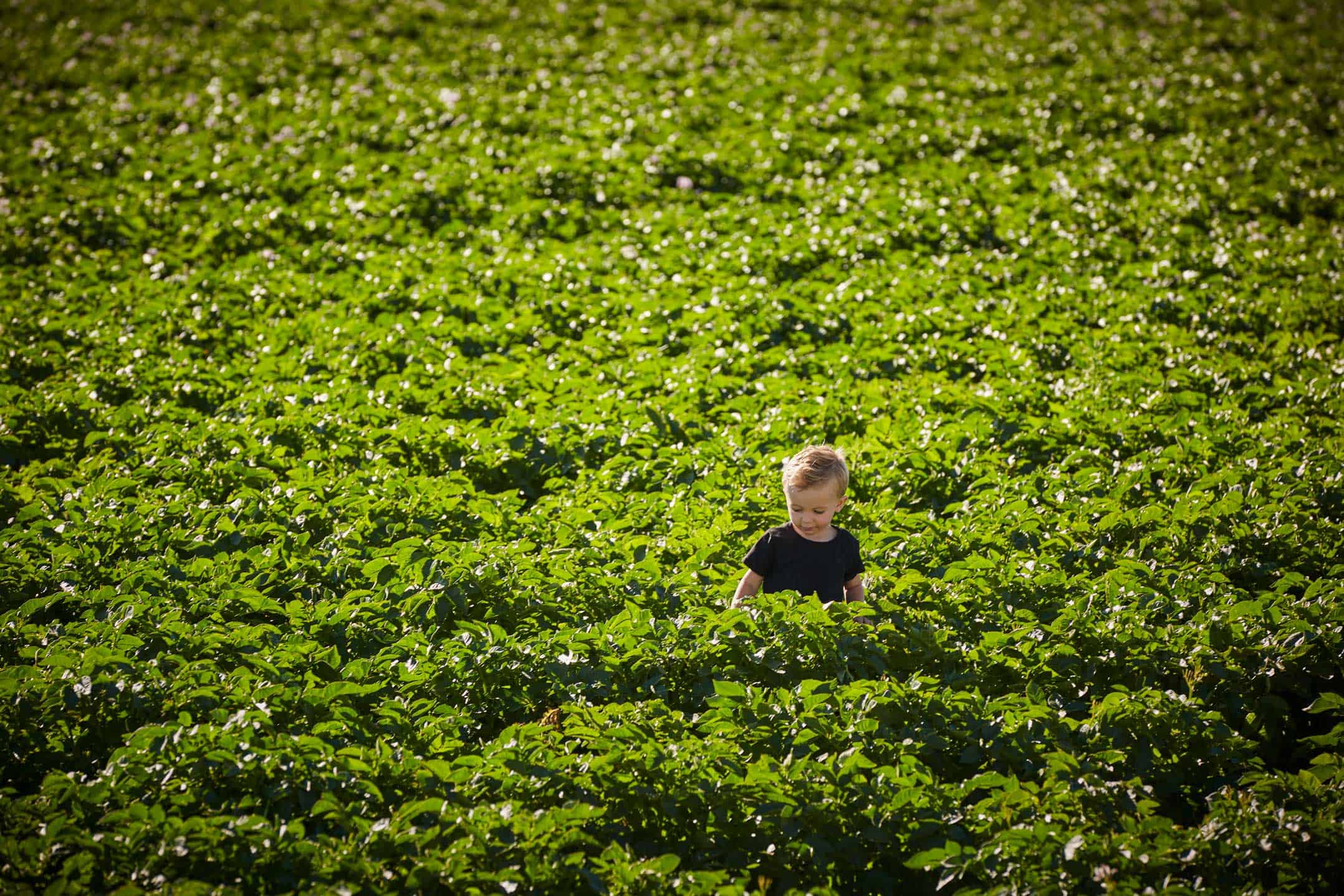 JC Farms 2