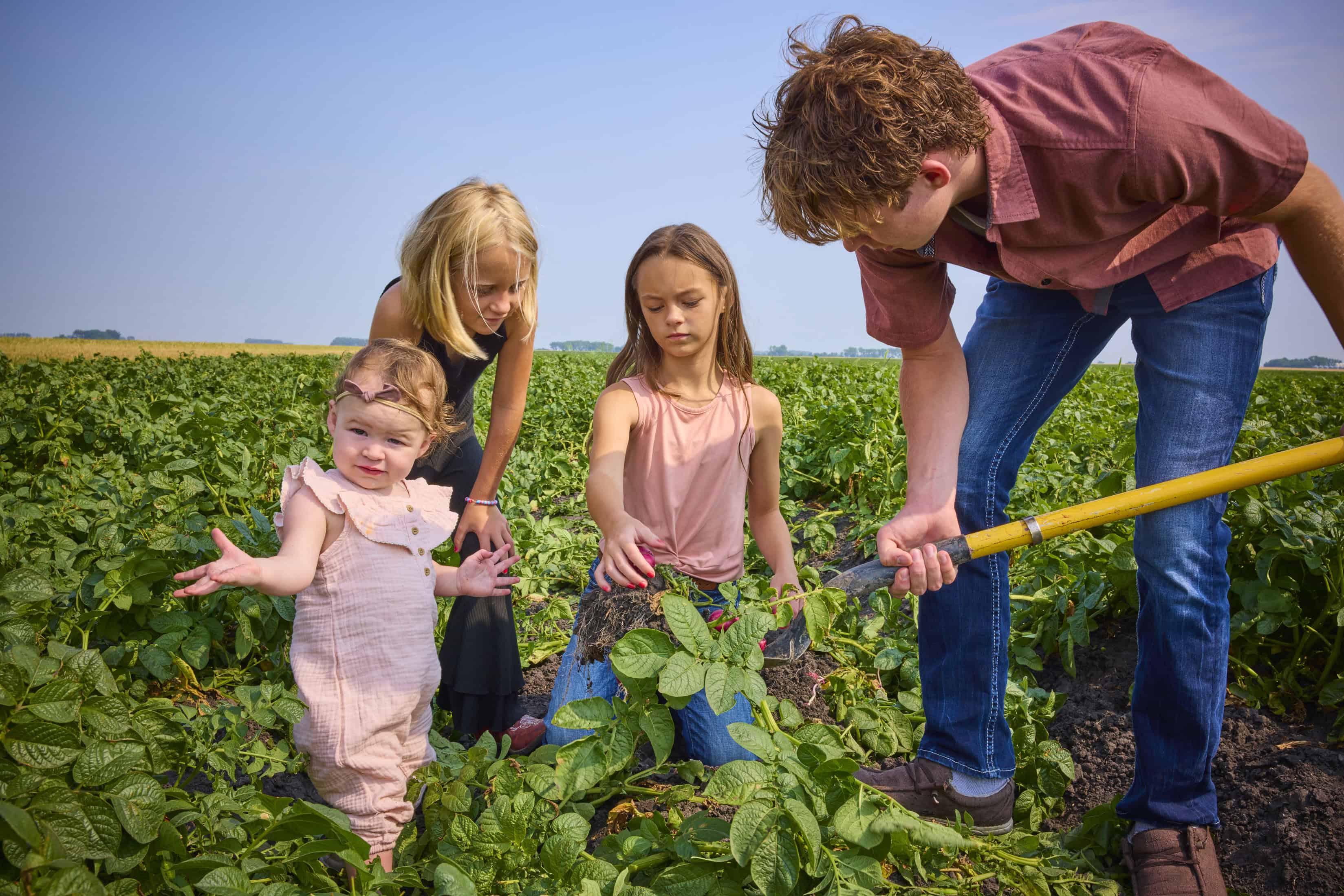Schumacher Farms