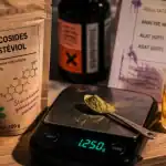 Stevia danger pour le foie : 2 g/j, additifs cachés et vérité scientifique