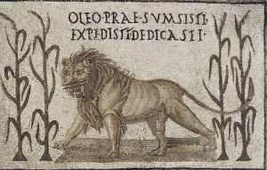 Голоса арены: эпиграфика венаций