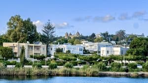 Король, гештальт и тевтонский обычай