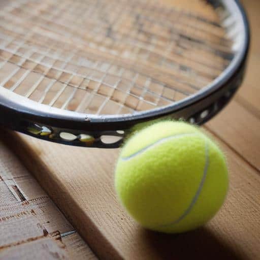 Djokovic's Legacy: Embracing Change in Tennis' New Era