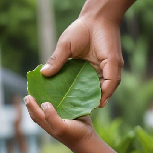 "Empowering Youth or Political Pawn? The Truth Behind Fiji's Lesu Ki Vale Initiative"