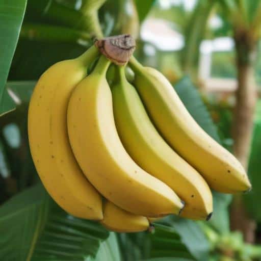 Farmers Urged to Strategize: Tips for Boosting Yields and Market Success