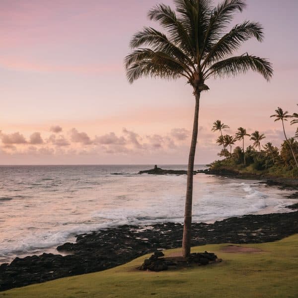 Scenic tropical beach with palm trees at sunset, Fiji.