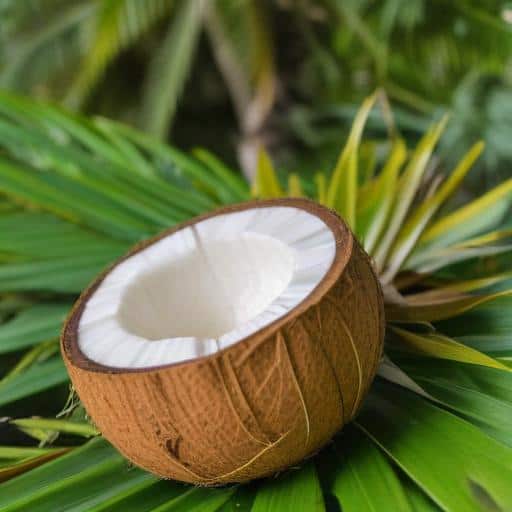 Fiji Shines at Sydney's Naturally Good Expo: A Step Towards Sustainable Trade