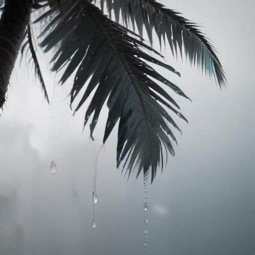 Fiji Weather Forecast: Cloudy Showers and Cool Nights Expected Across Regions