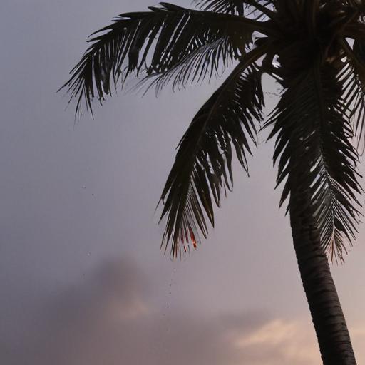 Fiji Weather Update: Cloudy with Brief Showers and Cool Nights Expected