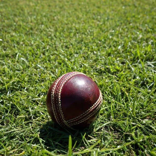 Close-up of a cricket ball resting on a lush green grass field.