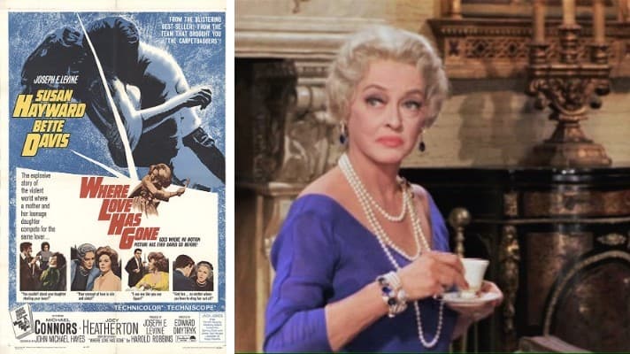 Where Love Has Gone 1964 film