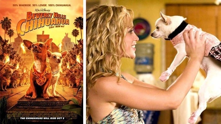 Beverly Hills Chihuahua film 2008