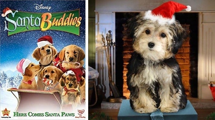 Santa Buddies 2009 film