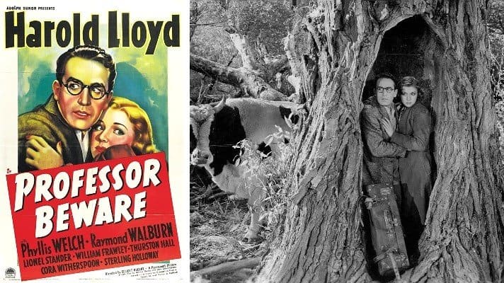 Professor Beware movie 1938