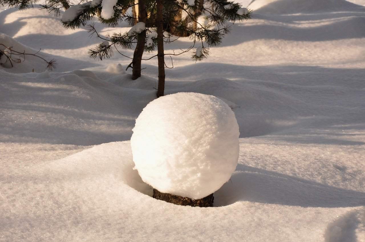 You are currently viewing Como eliminar deudas efectivamente: La Bola de Nieve
