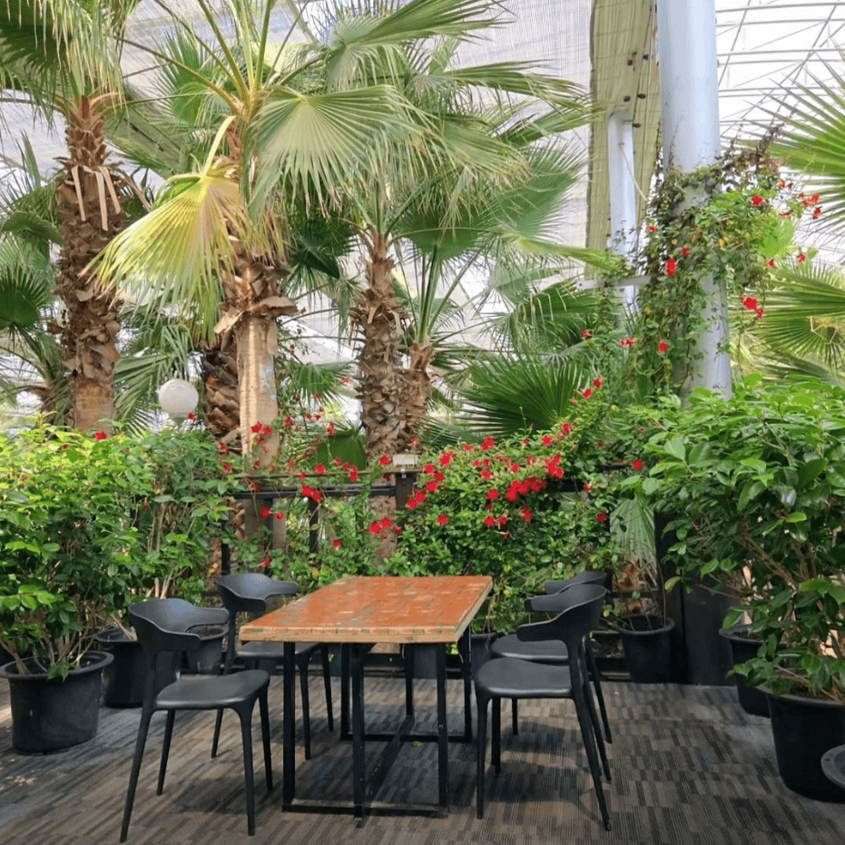 Spacious botanical garden cafe filled with large palm trees and lush tropical plants.