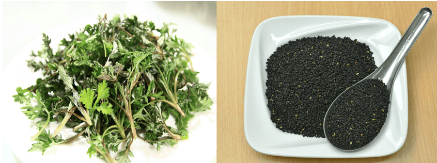 Rich green mugwort and deep grey black sesame sweets, showcasing traditional Korean flavors.