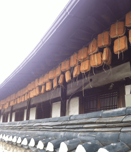 Blocks of fermented soybeans (Meju) hanging under the eaves of a traditional Korean house for natural drying.