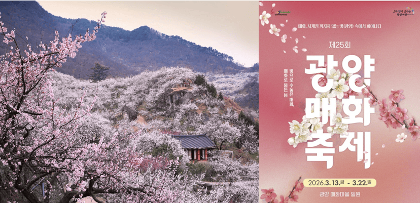 Gwangyang Apricot Flower Festival
