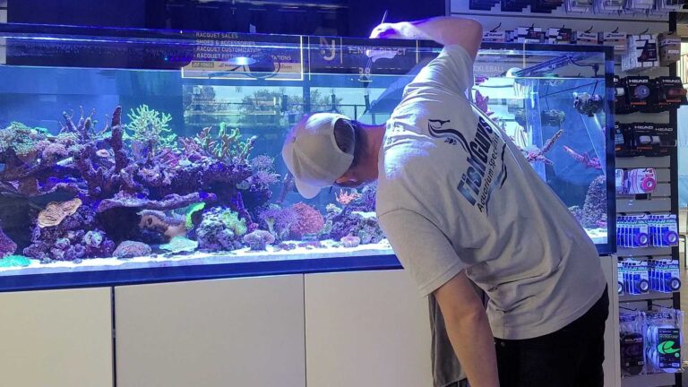 FishGuys technician installing and aquascaping a new aquarium
