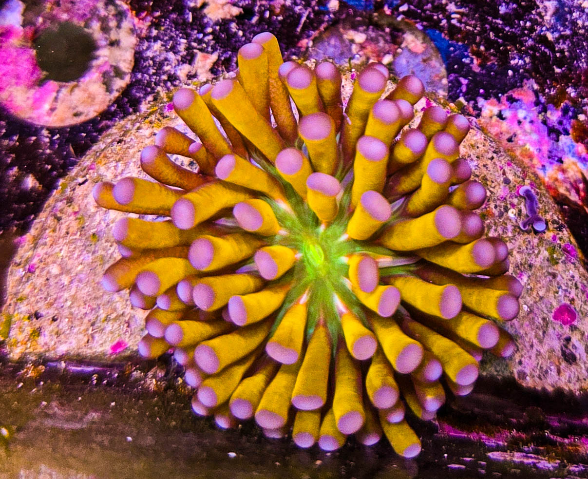 2024 10 11 15.20.30 290