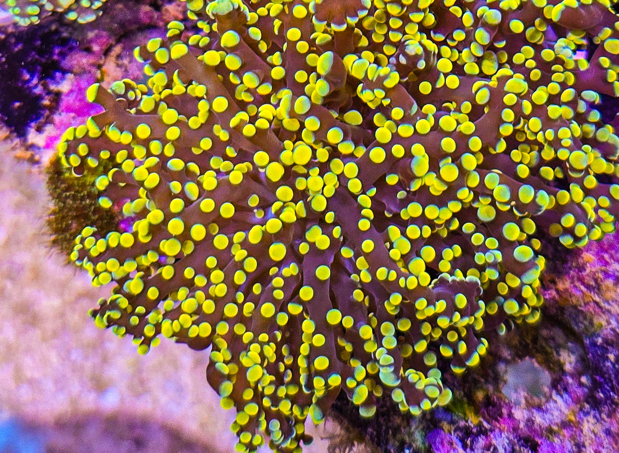 2024 10 11 15.20.58 291