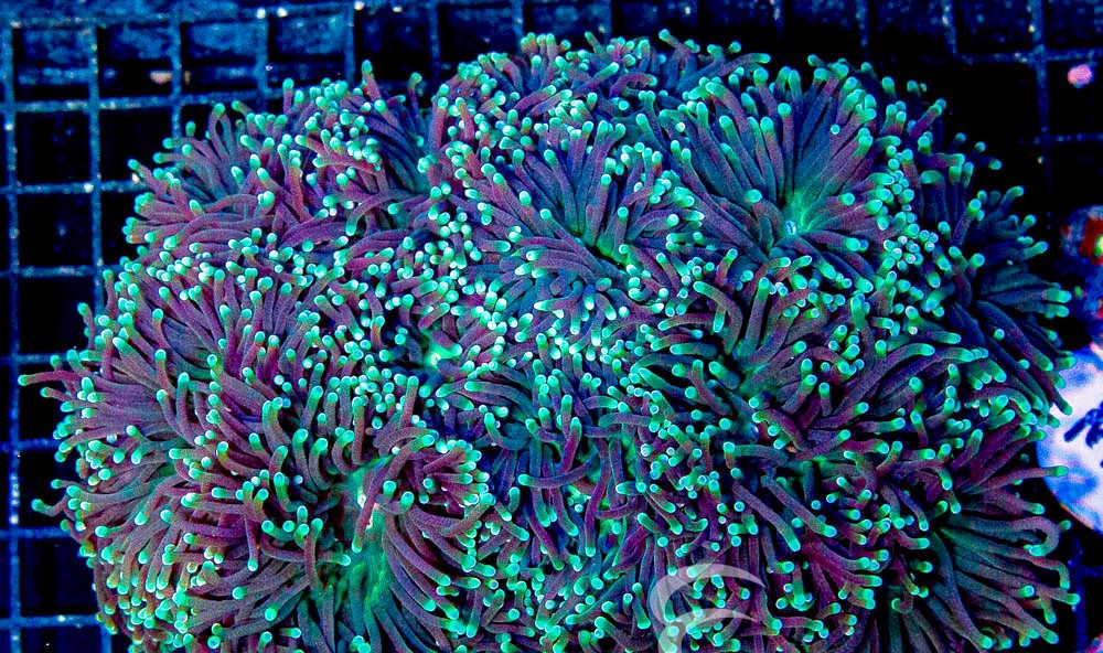 94D0D4982BA911B4CD19 1716925432